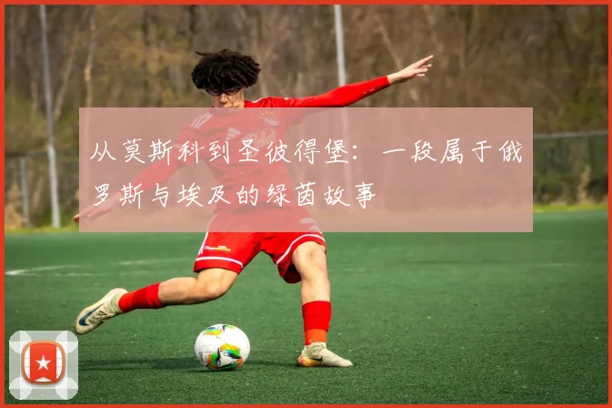 从莫斯科到圣彼得堡：一段属于俄罗斯与埃及的绿茵故事