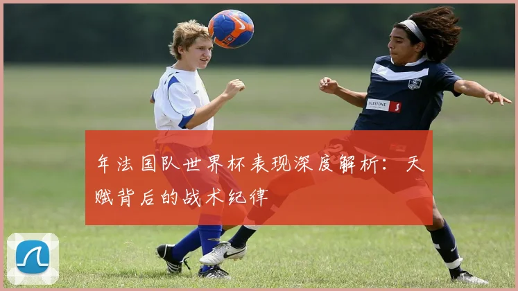 年法国队世界杯表现深度解析：天赋背后的战术纪律