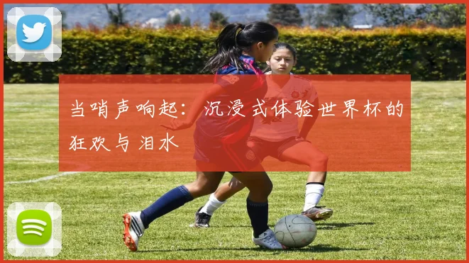 当哨声响起：沉浸式体验世界杯的狂欢与泪水