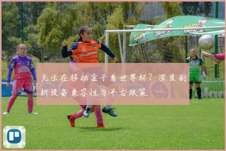 无法在移动盒子看世界杯？深度剖析设备兼容性与平台政策