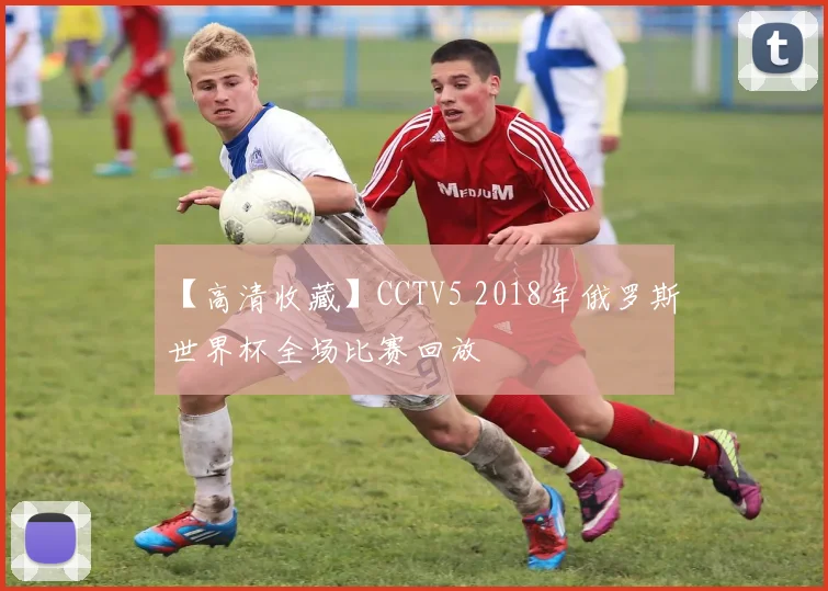 【高清收藏】CCTV5 2018年俄罗斯世界杯全场比赛回放