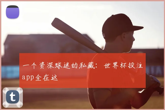 一个资深球迷的私藏：世界杯投注app全在这