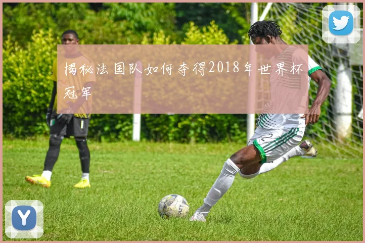揭秘法国队如何夺得2018年世界杯冠军