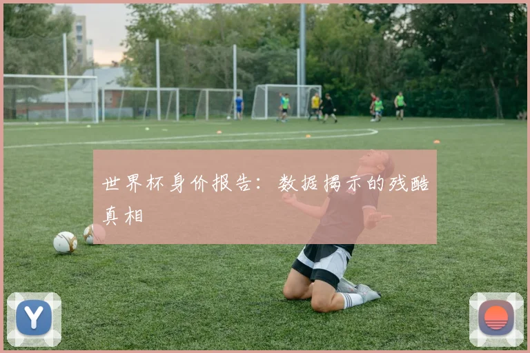 世界杯身价报告:数据揭示的残酷真相