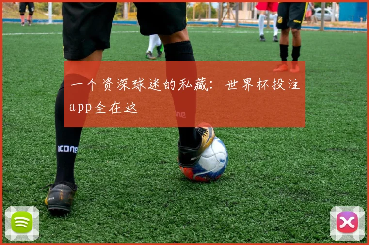 一个资深球迷的私藏：世界杯投注app全在这