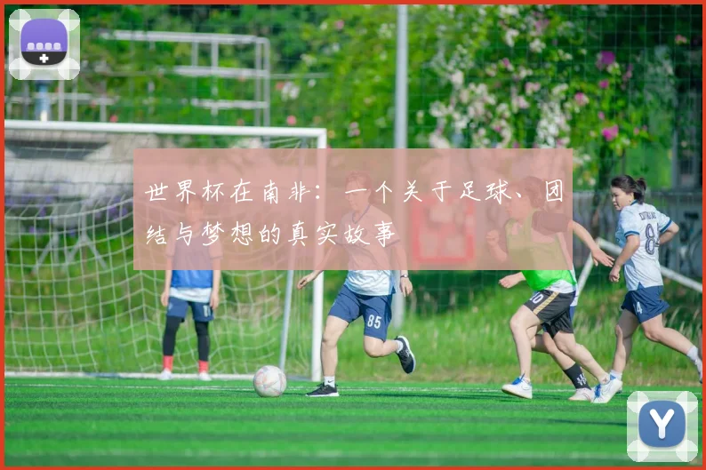 世界杯在南非：一个关于足球、团结与梦想的真实故事