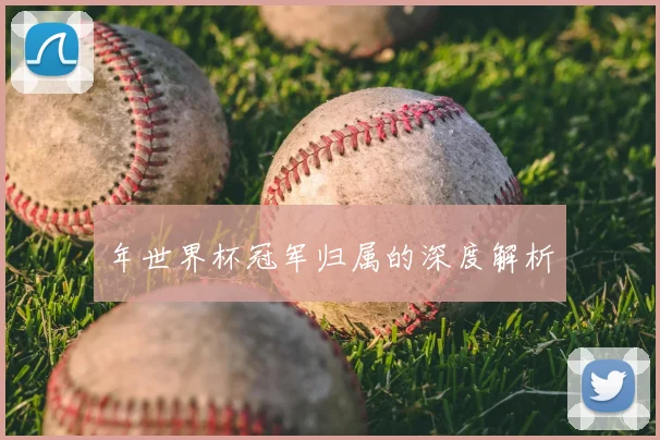 年世界杯冠军归属的深度解析