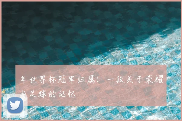 年世界杯冠军归属：一段关于荣耀与足球的记忆
