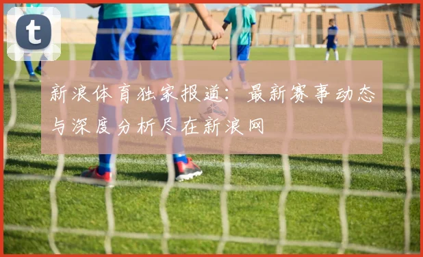 新浪体育独家报道：最新赛事动态与深度分析尽在新浪网